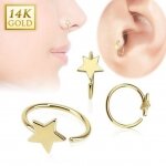 14 Karat Gold Nasen Piercing Ring Stern