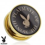 Playboy - Motiv Plug - Stahl Gold - Playmate of The Month